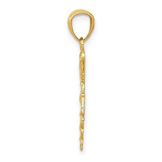 14K Yellow Gold Diamond-cut Polished RN Nurse Pendant