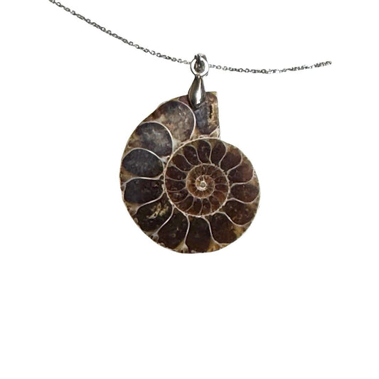Ammonite Shell Fossil Pendant SOLID .925 Sterling Silver 18" Chain Necklace 8.7g