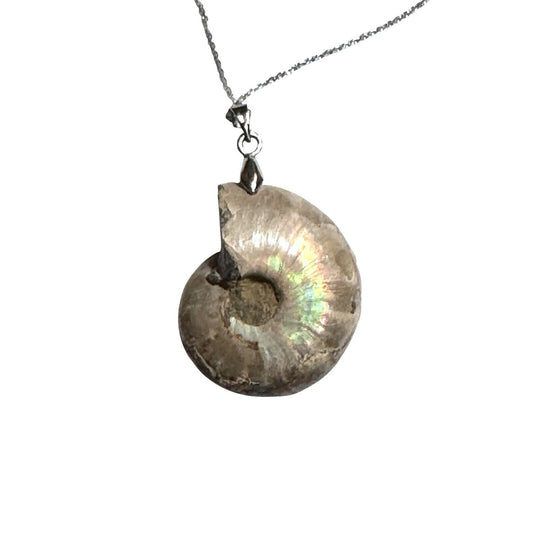 Ammonite Shell Fossil Pendant SOLID .925 Sterling Silver 18" Chain Necklace 8.7g