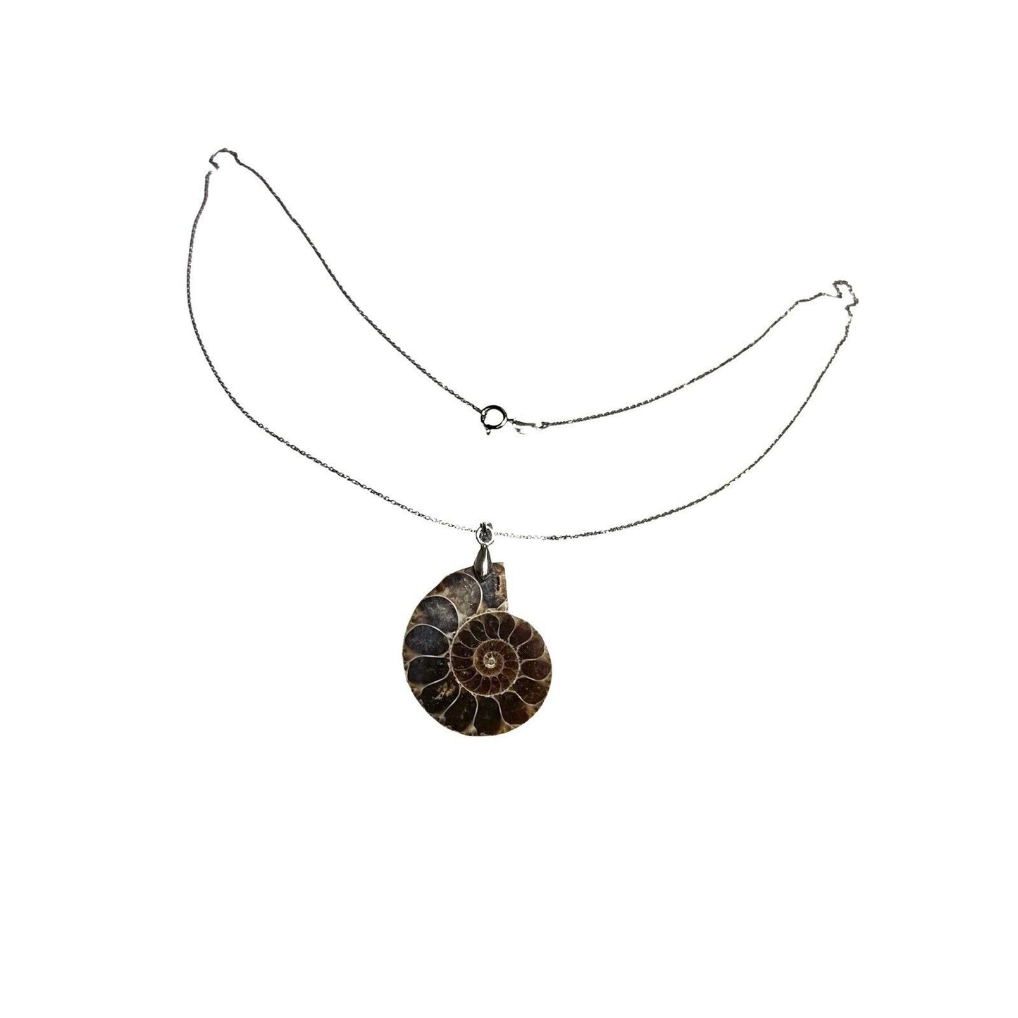 Ammonite Shell Fossil Pendant SOLID .925 Sterling Silver 18" Chain Necklace 8.7g