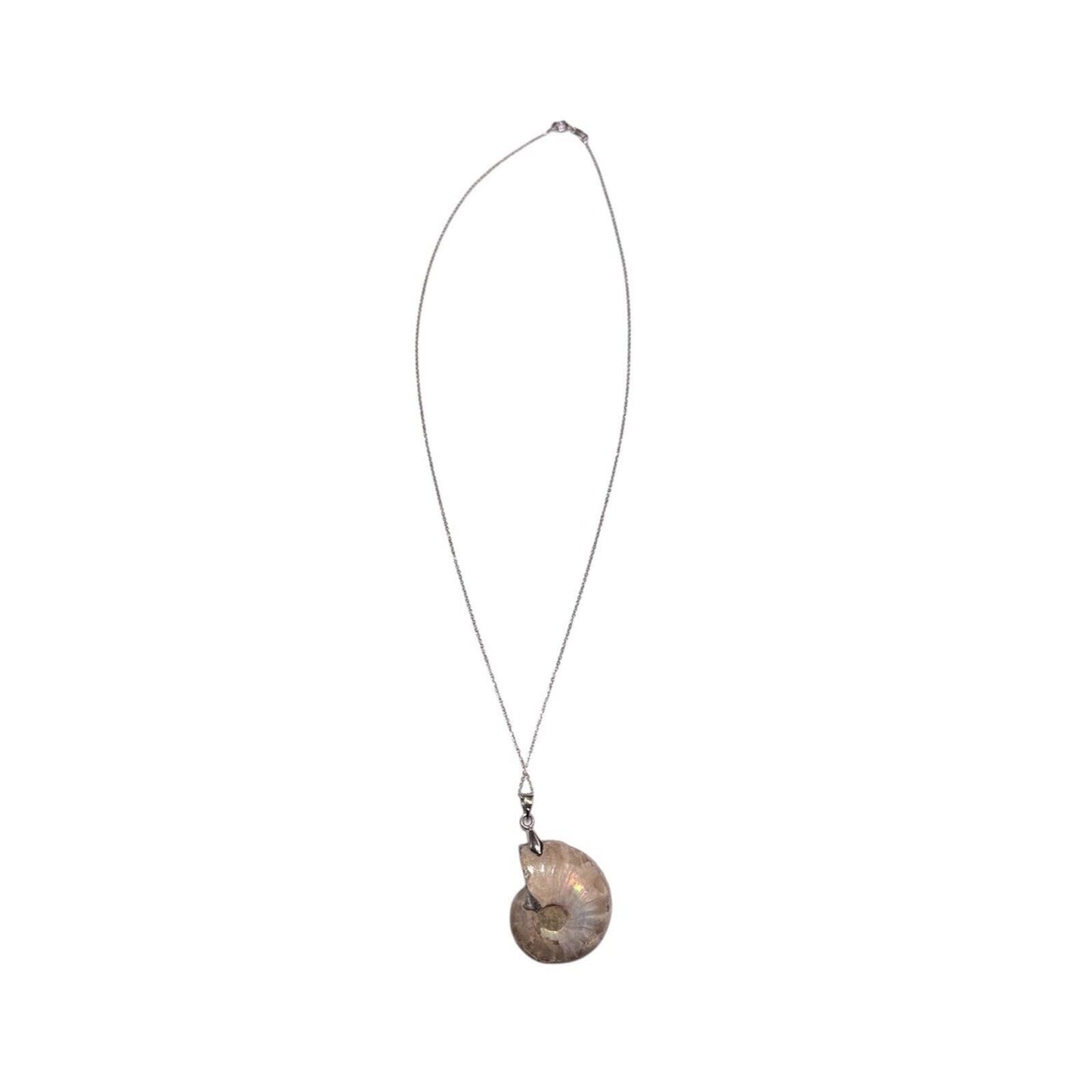 Ammonite Shell Fossil Pendant SOLID .925 Sterling Silver 18" Chain Necklace 8.7g
