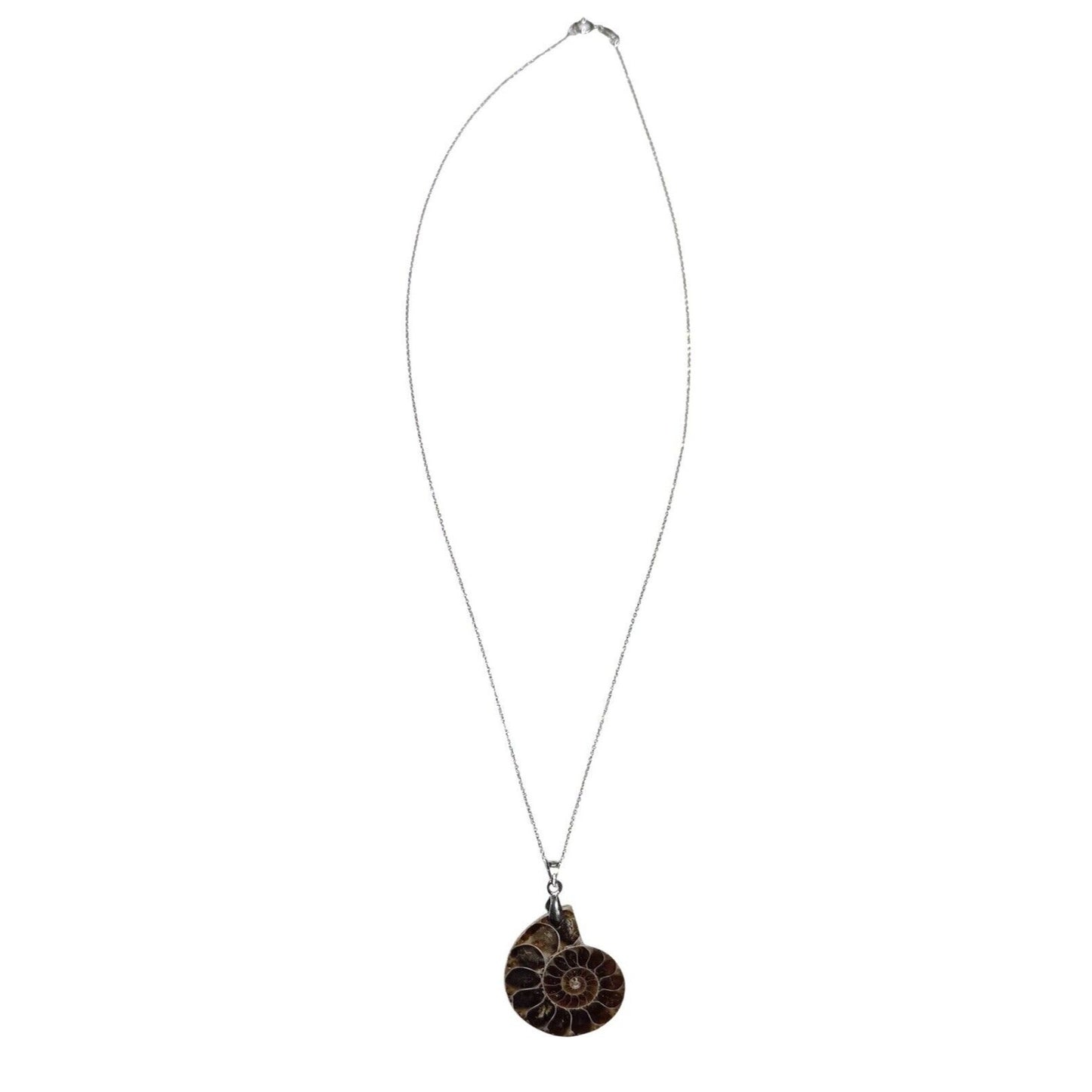 Ammonite Shell Fossil Pendant SOLID .925 Sterling Silver 18" Chain Necklace 8.7g