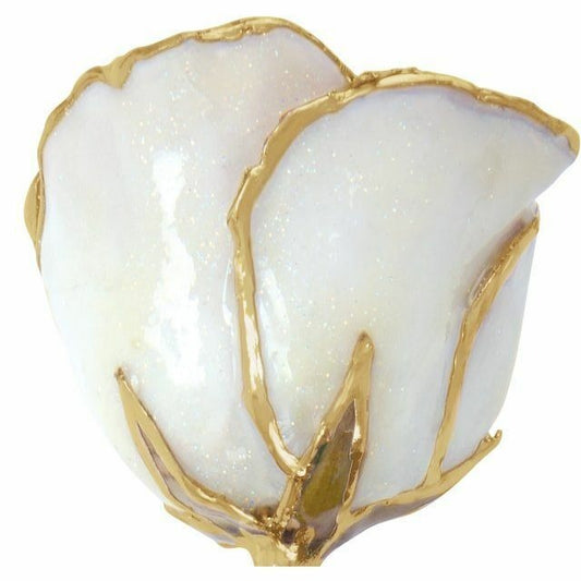 Real Lacquered Sparkle White Rose With 24K Gold Trim & Green Leaves In Gift Box