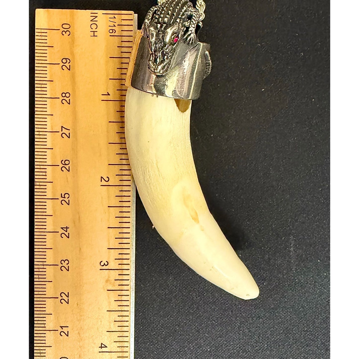 Sterling Silver Extra Large Alligator Tooth Pendant Necklace Red Eye & 24" Rope Chain