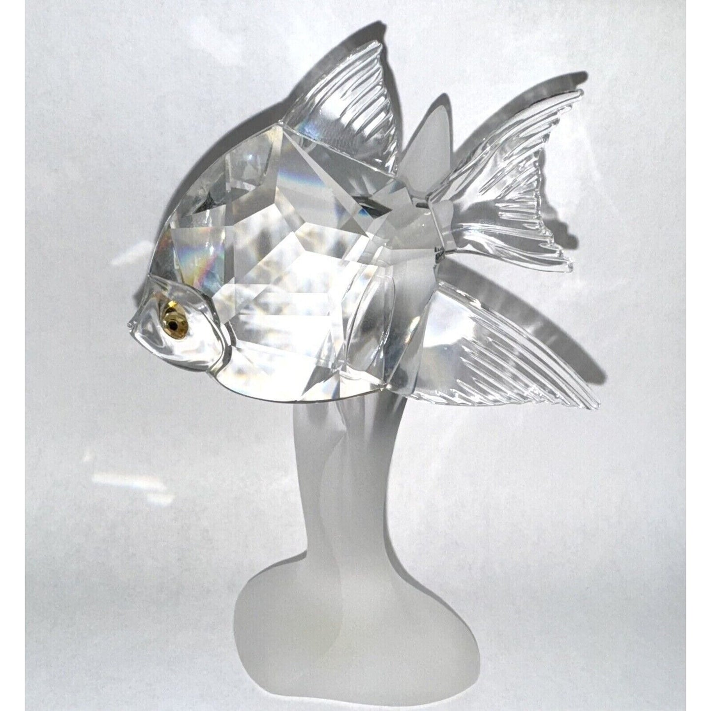 Preciosa Scalar Fish #074980