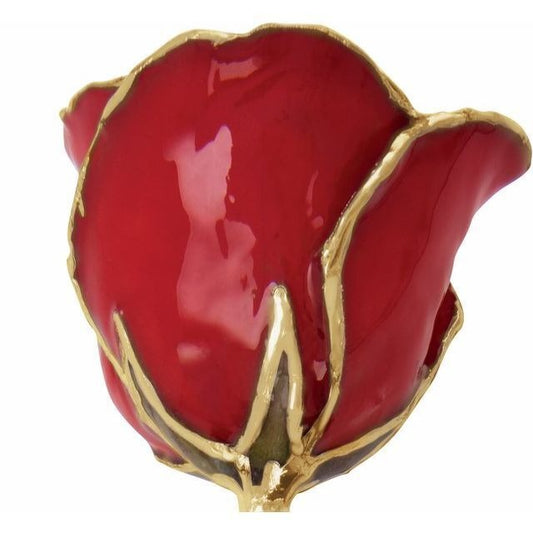 Real Semi Opened Lacquered Red Colored Rose with 24k Gold Trim