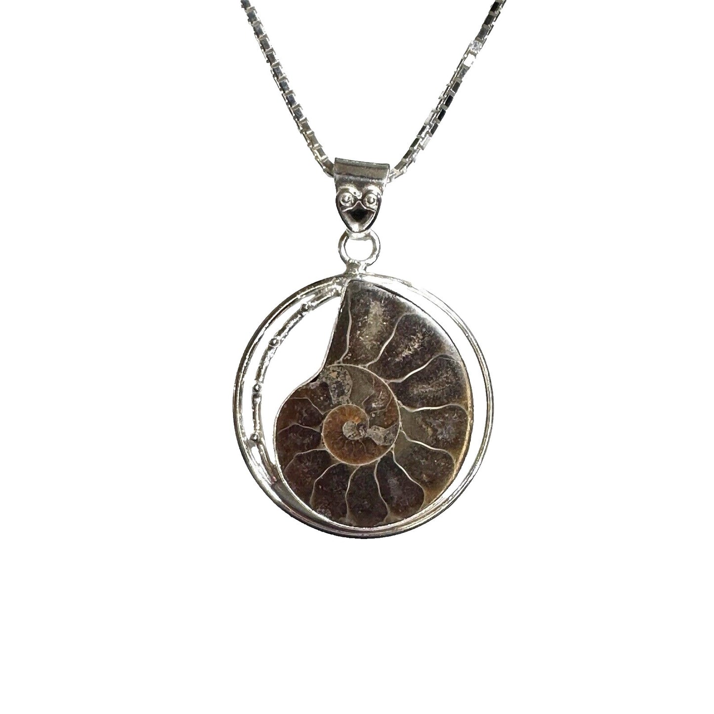 Ammonite Shell Fossil Pendant .925 Sterling Silver 20” Box Chain Necklace 22.3g