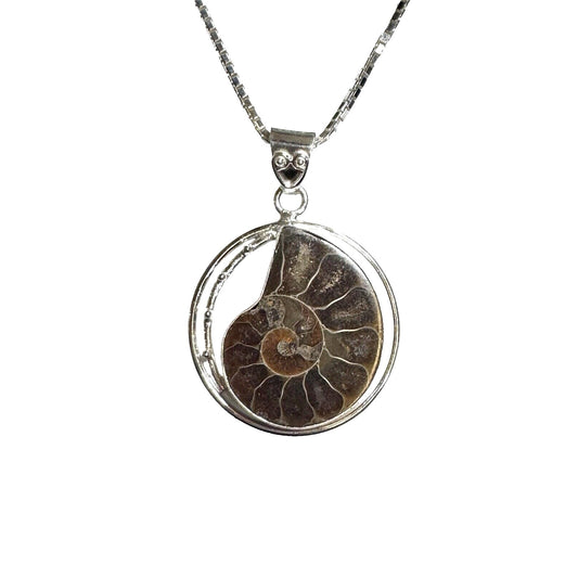 Ammonite Shell Fossil Pendant .925 Sterling Silver 20” Box Chain Necklace 22.3g