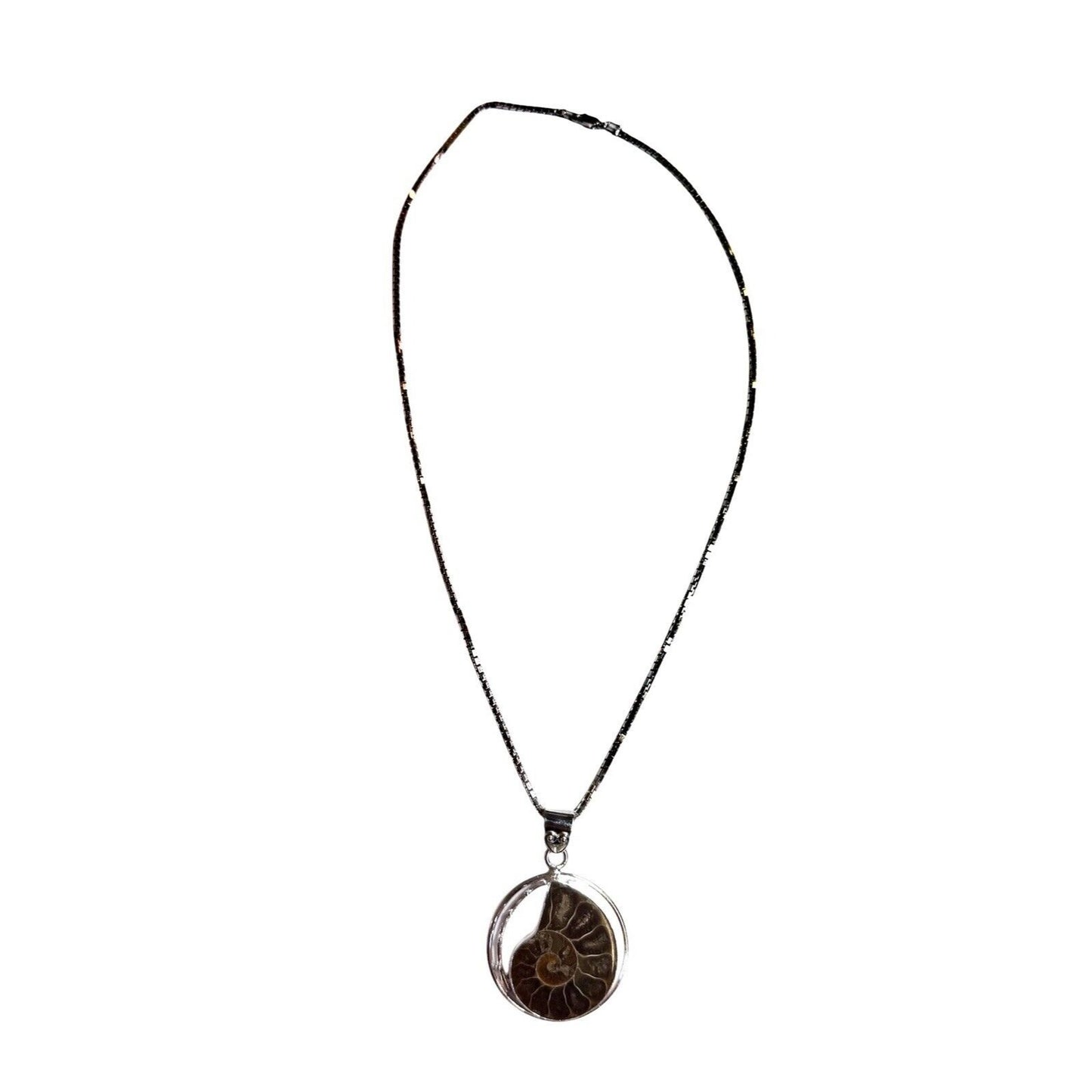 Ammonite Shell Fossil Pendant .925 Sterling Silver 20” Box Chain Necklace 22.3g