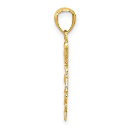14K Yellow Gold Diamond-cut Polished RN Nurse Pendant