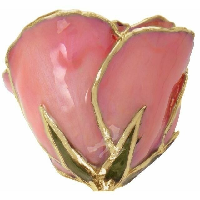 Real Semi Opened Lacquered Pink Pearl Rose with 24k Gold Trim