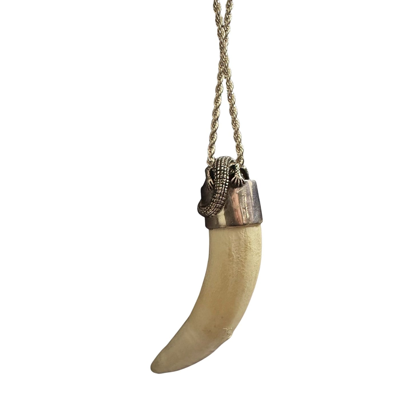 Sterling Silver Extra Large Alligator Tooth Pendant Necklace Red Eye & 24" Rope Chain