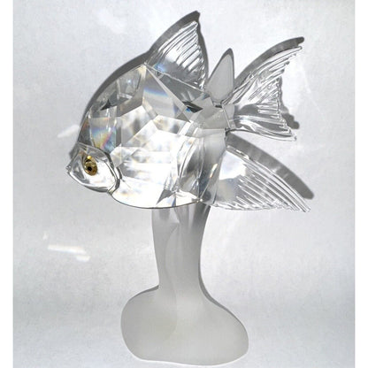 Preciosa Scalar Fish #074980