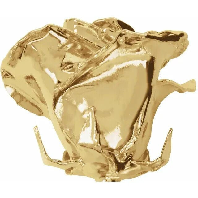 Real Semi Opened Lacquered 24K Gold Plated Rose