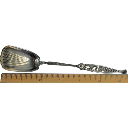 Sugar Spoon GW Shovel Shell 6 3/8" Sterling Silver By Whiting Number 1 Pattern 1885
