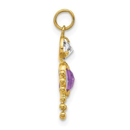 10k Yellow Gold Cubic Zirconia and February Boy Birthstone Charm Pendant