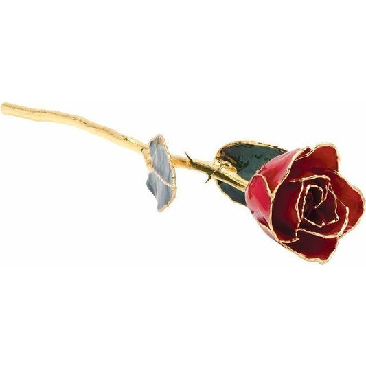 Real Semi Opened Lacquered Red Colored Rose with 24k Gold Trim