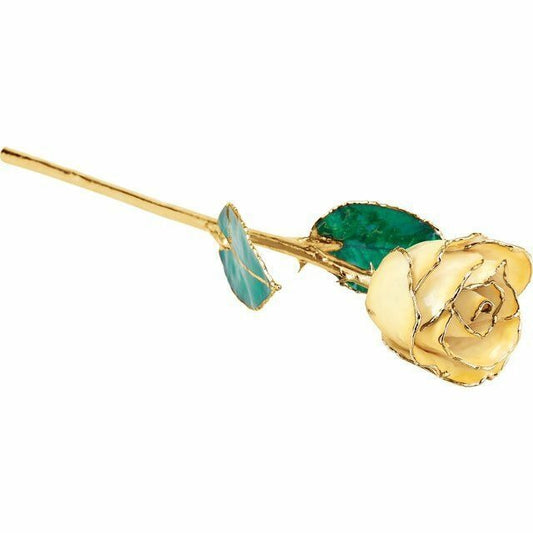 Real Semi Opened Lacquered Cream Yellow Rose with 24k Gold Trim
